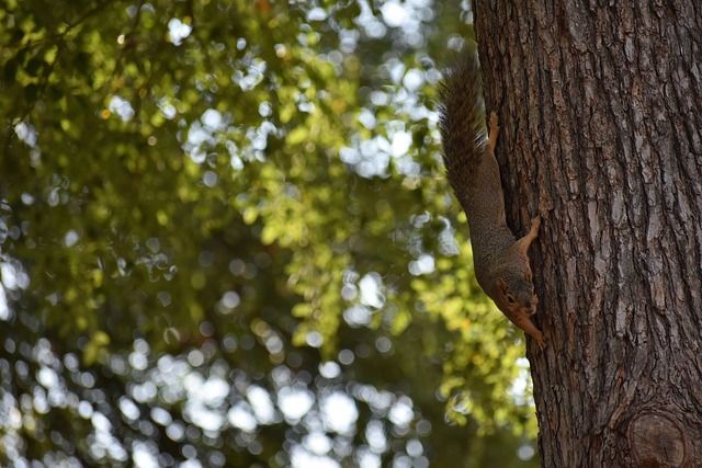强的对手身 强的对手身