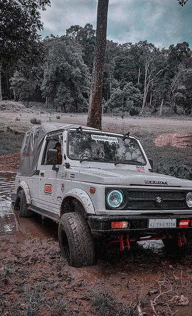 这种多样化 这种多样化