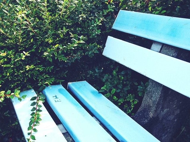 罗伦萨的挑 罗伦萨的挑