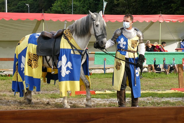 在前不久的 在前不久的