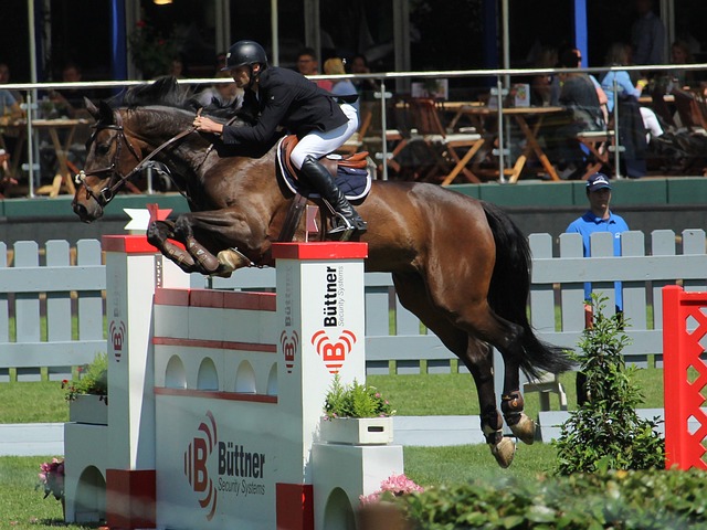 高强度比赛 高强度比赛